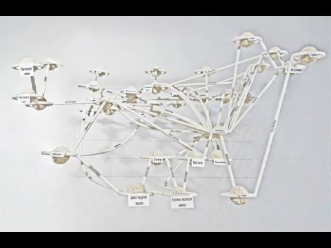 Diploma 18 Introduction 2014