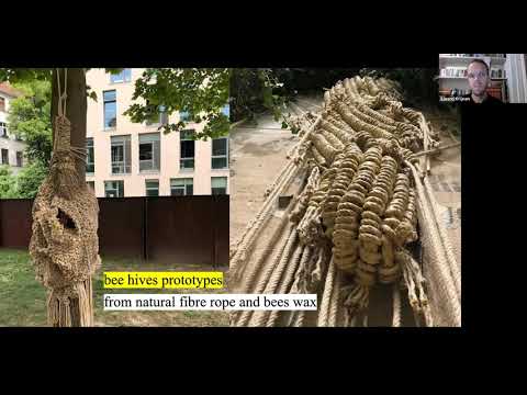 Animal Architectures – Panel Discussion